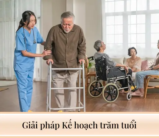 Giải pháp Kế hoạch trăm tuổi