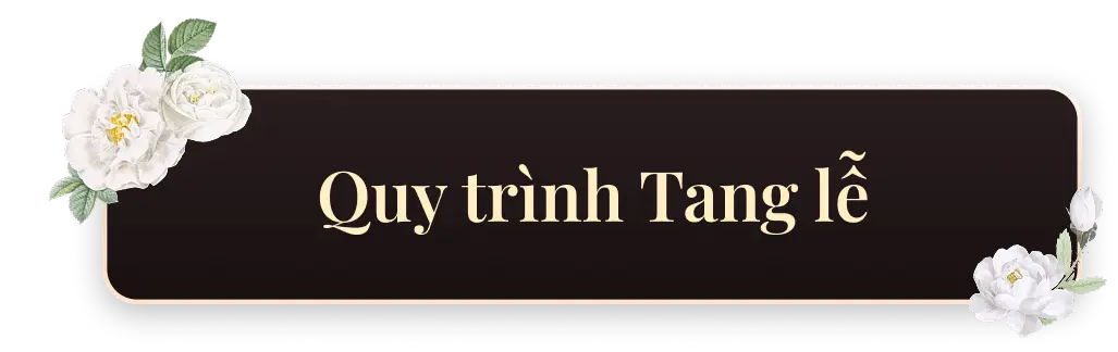 quy trình