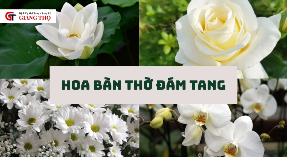 Các loại hoa trang trí bàn thờ thường là hoa trắng trang nhã
